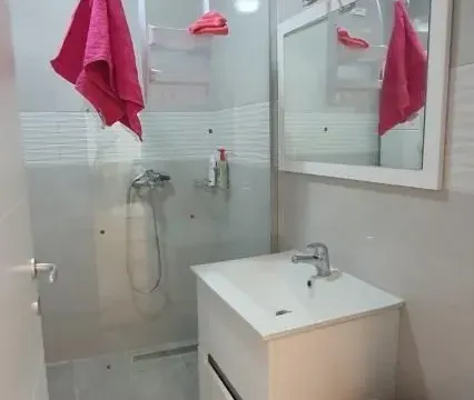 Izdavanje, dvosoban stan, 47m², Petrovaradin, Novi Sad - image 8