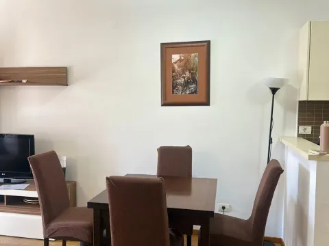Rent, one bedroom apartment, 52m², Centar, Podgorica - image 1
