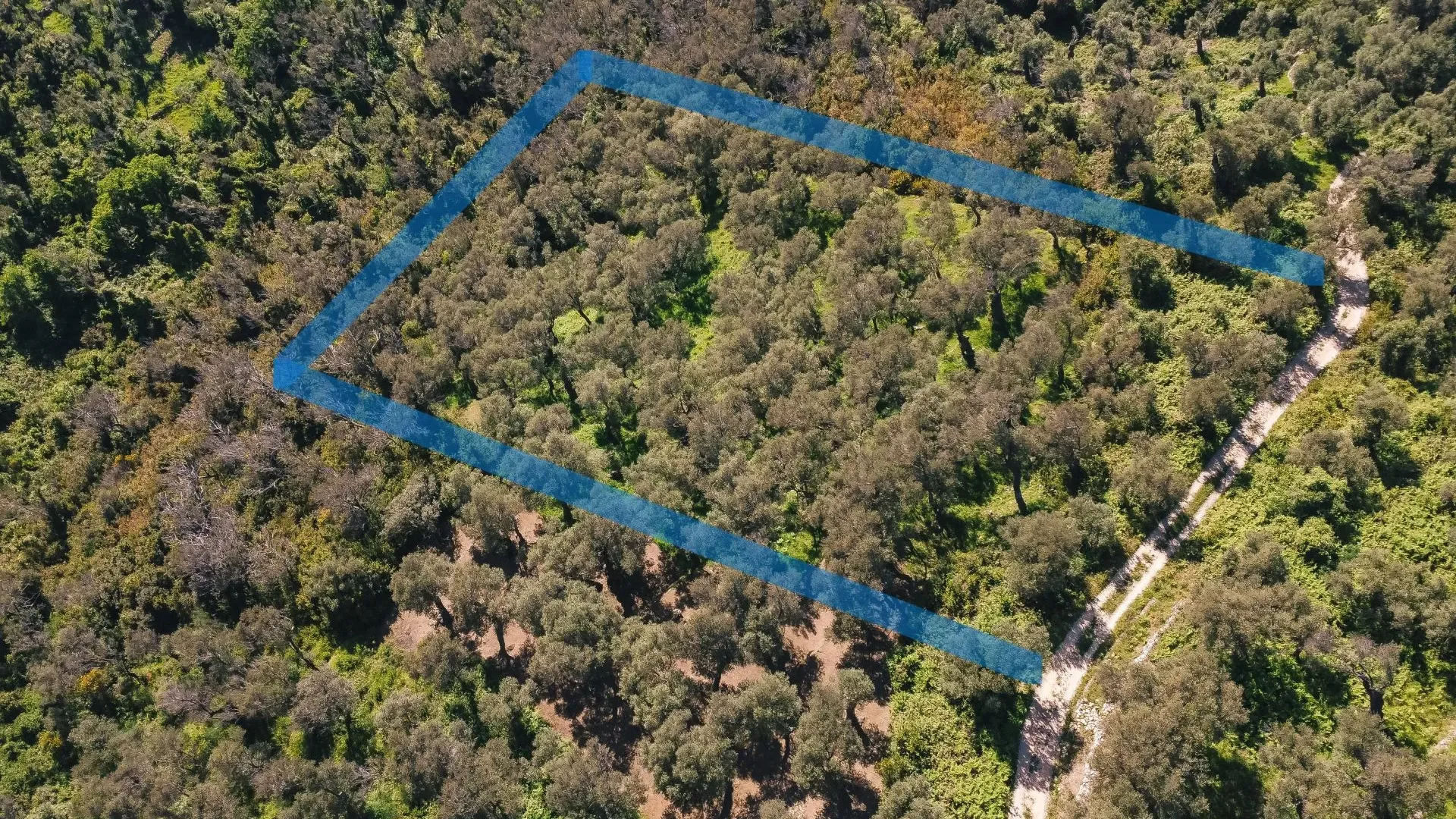 Prodaja, plac, 3030m², Ulcinj, Crna Gora