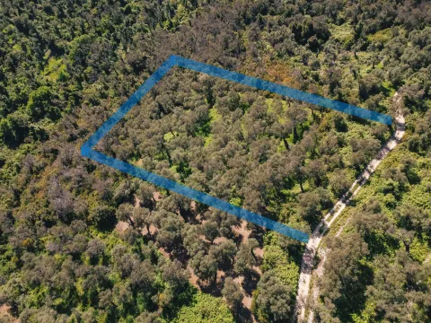 Prodaja, plac, 3030m², Ulcinj, Crna Gora - image 5