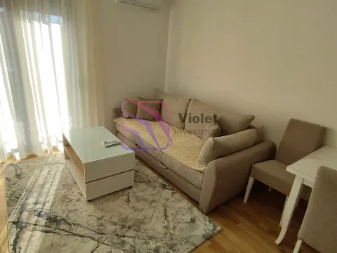 Rent, one bedroom apartment, 40m², Zabjelo, Podgorica - image 4