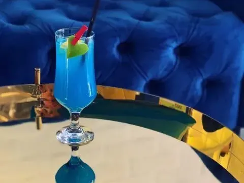 Prodaja, ugostiteljski objekat, 226m², Sremski Karlovci, Novi Sad - image 6