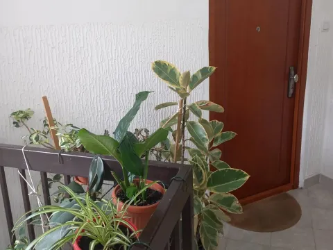 Prodaja, dvosoban stan, 75m², Budva, Crna Gora - image 10