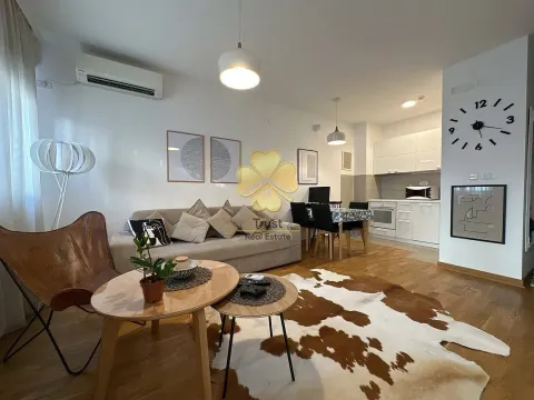 Izdavanje, jednosoban stan, 50m², City Kvart, Podgorica - image 2