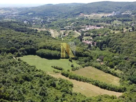 Prodaja, plac, 7700m², Banja Vrdnik, Irig - image 4