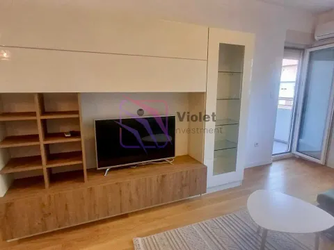 Izdavanje, jednosoban stan, 49m², Central Point, Podgorica - image 2