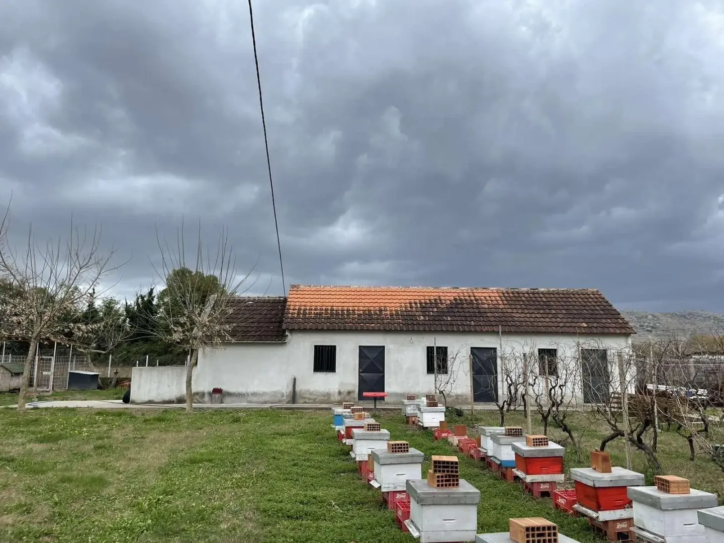 Prizemna kuća sa prostranim dvorištem na kojem se nalaze košnice.