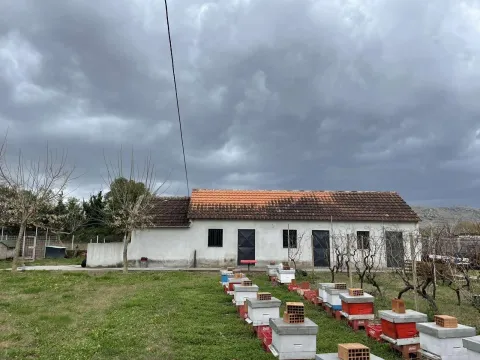 Prizemna kuća sa prostranim dvorištem na kojem se nalaze košnice. - image 21