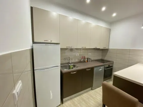 Rent, one bedroom apartment, 50m², Stari Aerodrom, Podgorica - image 4