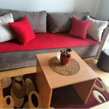 Living room featuring a grey sofa with red cushions and a wooden coffee table. - image 7
