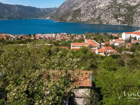 Sale, land lot, 13000m², Risan, Kotor - image 3