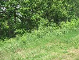 Sale, land lot, 10267m², Rušanj, Beograd - image 2