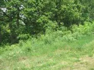 Prodaja, plac, 10267m², Rušanj, Beograd - image 2