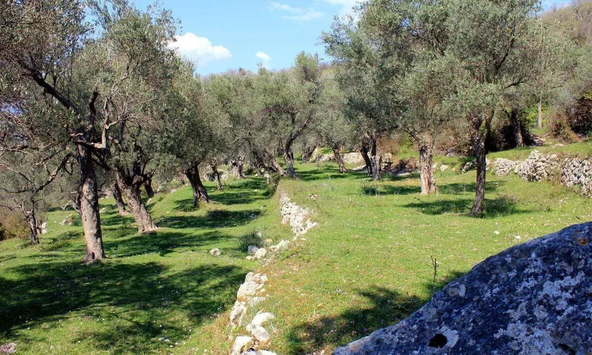 Sale, land lot, 800m², Bar, Crna Gora