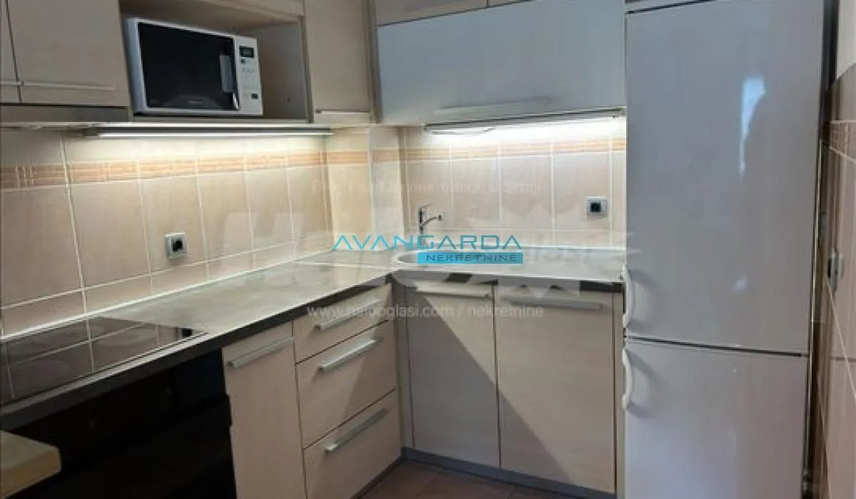 Rent, apartment, 45m², Južni Bulevar, Vračar Sve Podlokacije