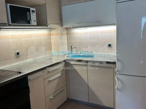 Izdavanje, stan, 45m², Južni Bulevar, Vračar Sve Podlokacije - image 4