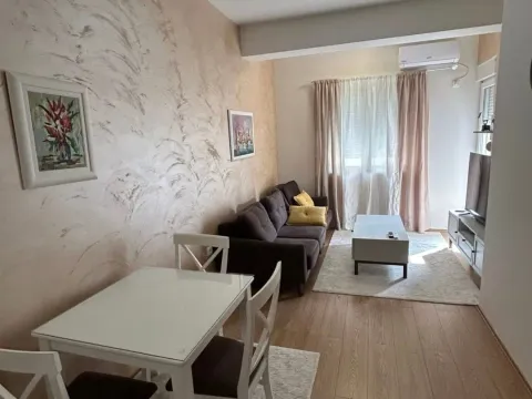 Izdavanje, jednosoban stan, 46m², Zabjelo, Podgorica - image 2