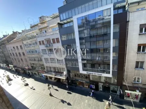 Izdavanje, četvorosoban stan, 160m², Stari Grad, Beograd - image 15