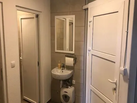 Izdavanje, poslovni prostor, 1300m², Zemun Sve Podlokacije, Beograd - image 4