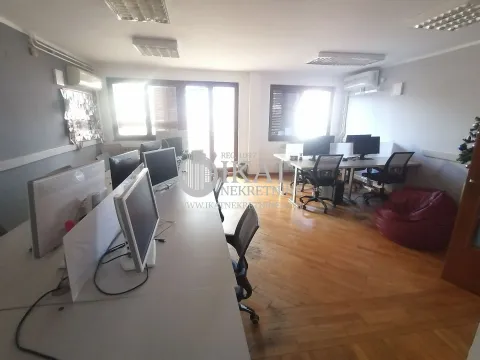 Izdavanje, kuća, 540m², Zvezdara Sve Podlokacije, Beograd - image 16