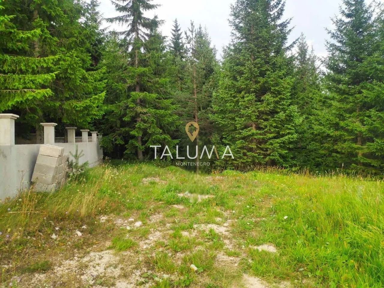 Prodaja, plac, 233m², Centar, Žabljak