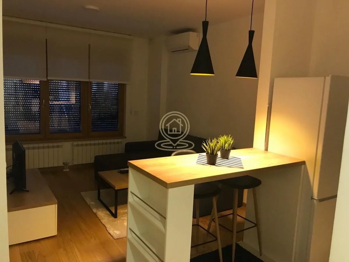 Izdavanje, dvosoban stan, 35m², Južni Bulevar, Vračar Sve Podlokacije