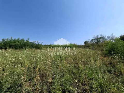 Prodaja, plac, 6000m², Sopot, Beograd - image 2