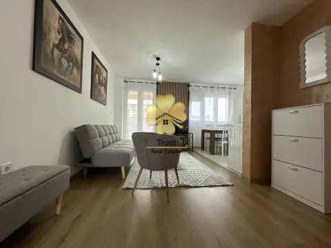 Rent, one bedroom apartment, 45m², Stari Aerodrom, Podgorica - image 2