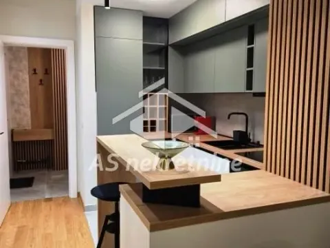 Izdavanje, dvosoban stan, 52m², Cvijićeva, Palilula Sve Podlokacije - image 4