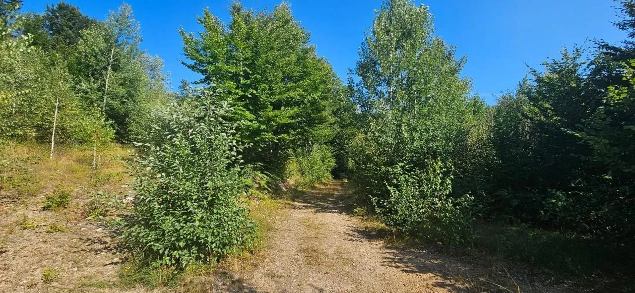 Prodaja, plac, 6154m², Kolašin, Crna Gora