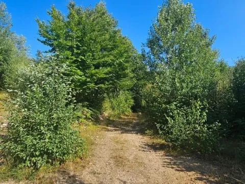 Prodaja, plac, 6154m², Kolašin, Crna Gora