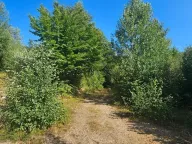 Prodaja, plac, 6154m², Kolašin, Crna Gora - image 1