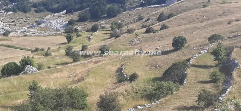 Prodaja, plac, 4307m², Njeguši, Cetinje