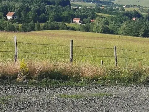 Prodaja, plac, 1000m², Tometino Polje, Požega - image 5