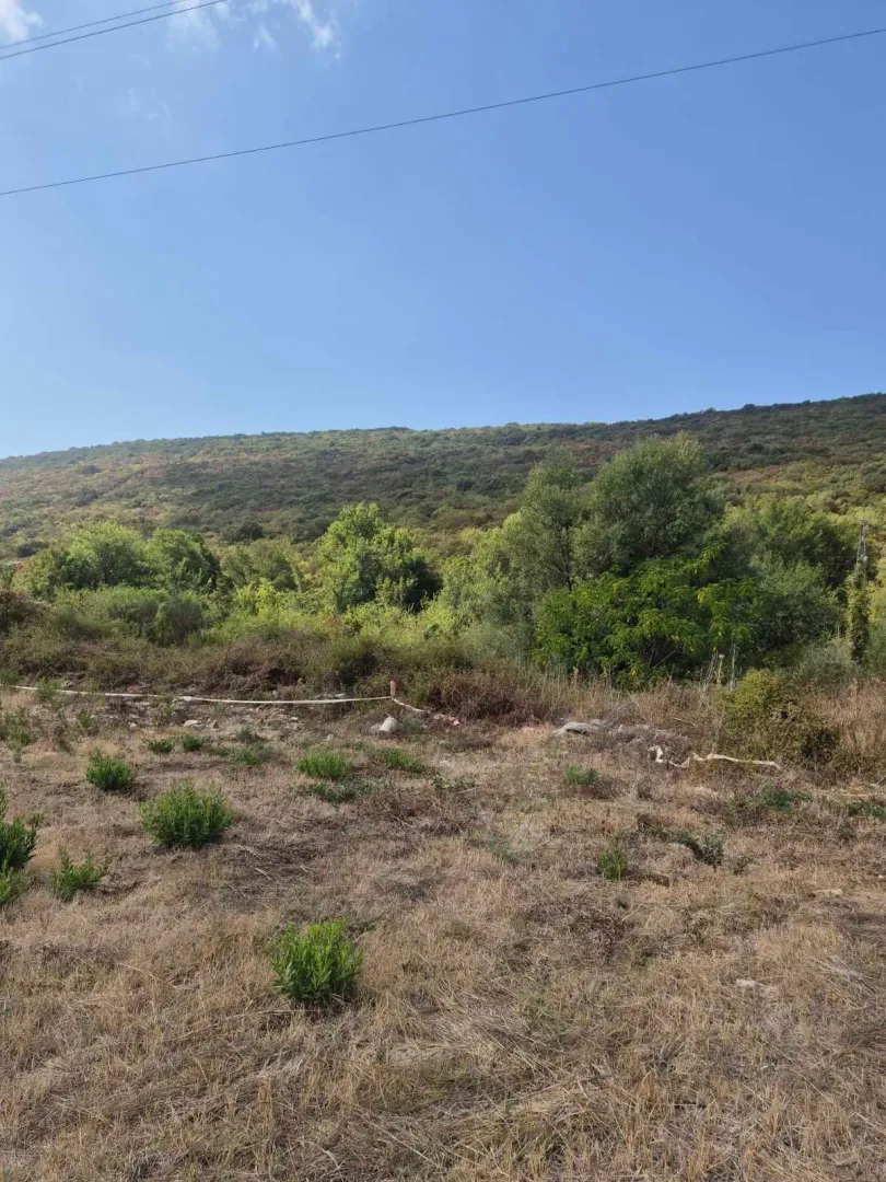 Pogled na plac sa niskim rastinjem i šumovitim brdom u pozadini.