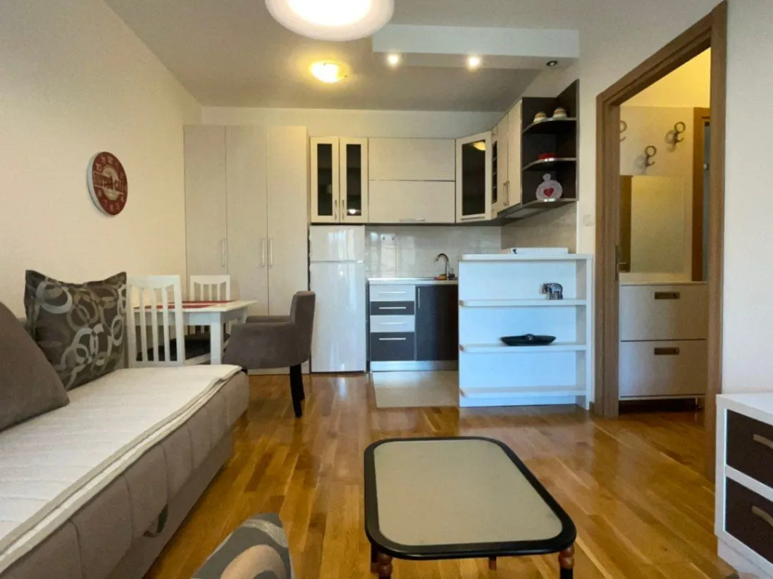Izdavanje, garsonjera, 30m², Zabjelo, Podgorica