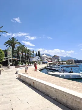 Pogled na šetalište uz obalu sa vezovima za brodove i palmama. - image 12
