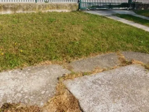 Rent, one bedroom apartment, 40m², Centar, Kragujevac - image 17