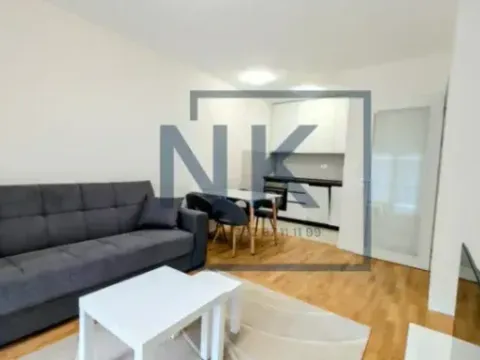 Izdavanje, jednosoban stan, 40m², Tuški Put, Podgorica - image 4