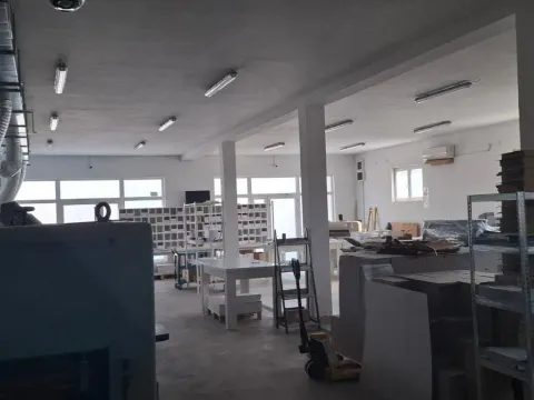 Izdavanje, poslovni prostor, 400m², Altina, Beograd - image 4