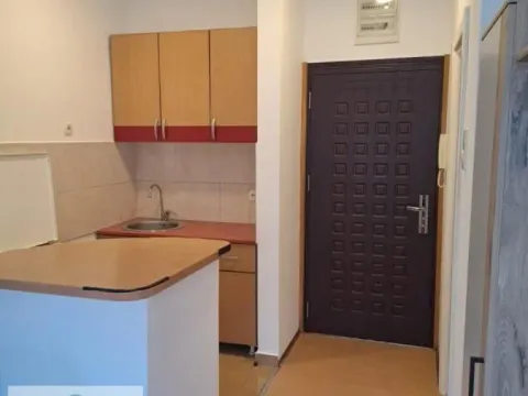 Rent, studio apartment, 30m², Bulevar Oslobodjenja, Novi Sad Sve Podlokacije - image 5