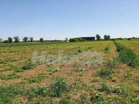 Prodaja, plac, 10300m², Dobanovci, Surčin - image 9