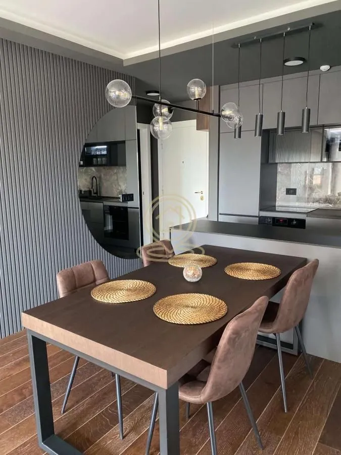 Rent, two bedroom apartment, 53m², Cvijićeva, Palilula Sve Podlokacije