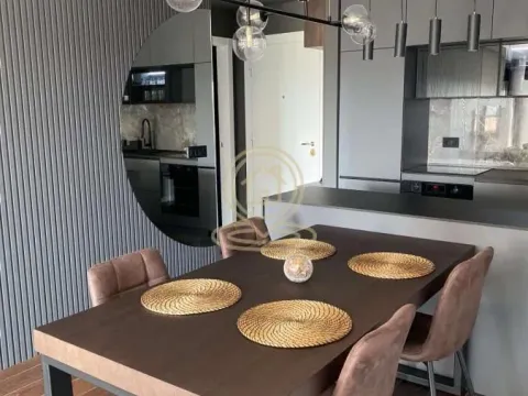Rent, two bedroom apartment, 53m², Cvijićeva, Palilula Sve Podlokacije - image 5
