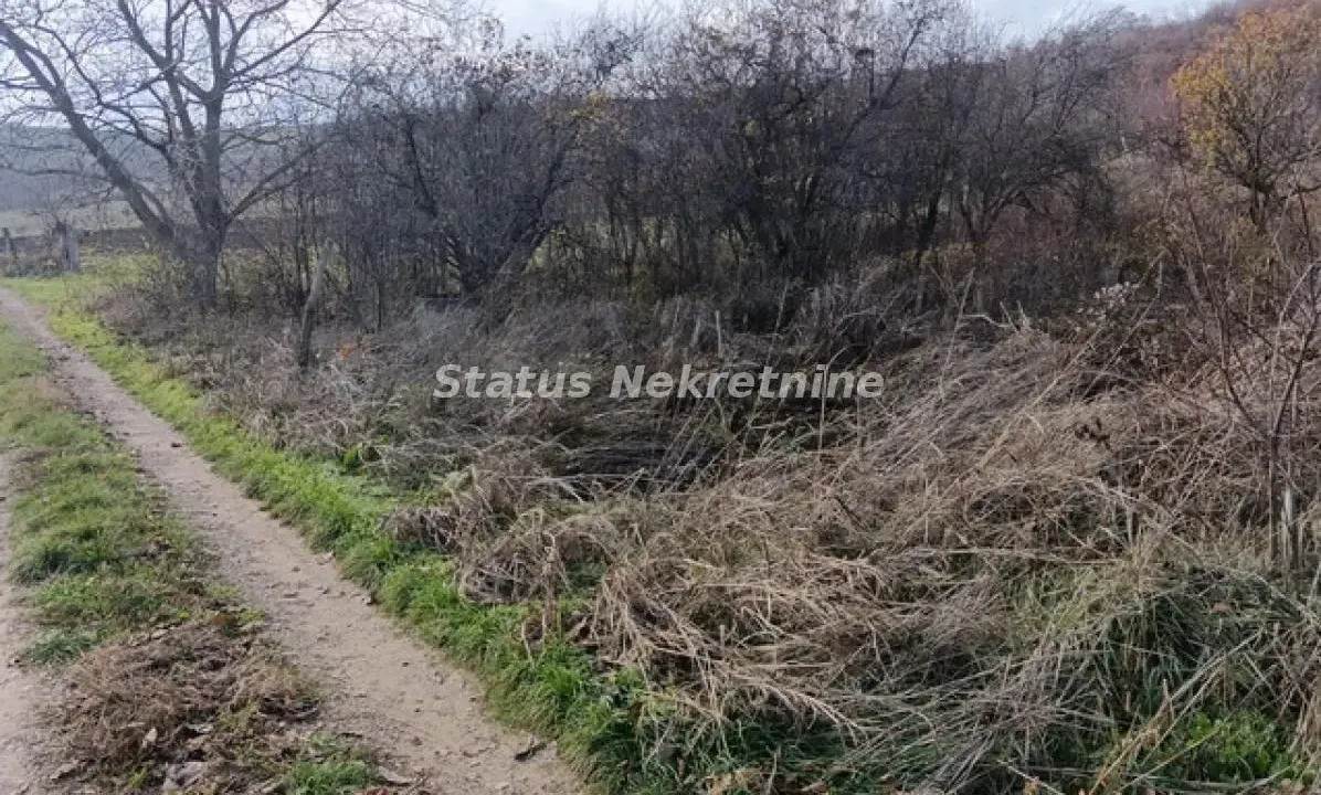 Sale, land lot, 3300m², Sremski Karlovci, Novi Sad