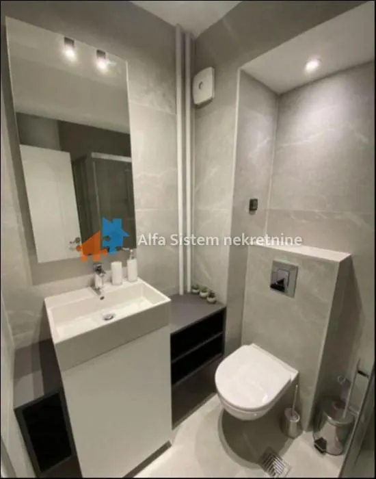 Izdavanje, dvosoban stan, 65m², Tašmajdan, Palilula Sve Podlokacije