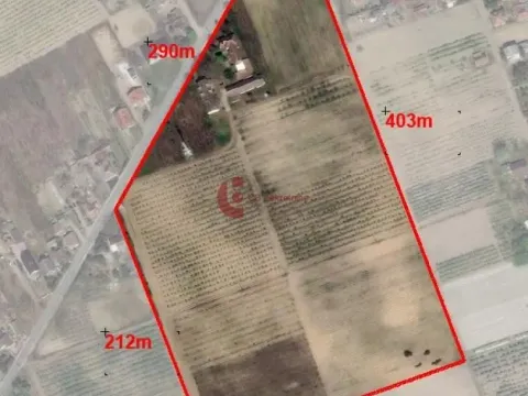 Prodaja, kuća, 880m², Bački Vinogradi, Subotica - image 57