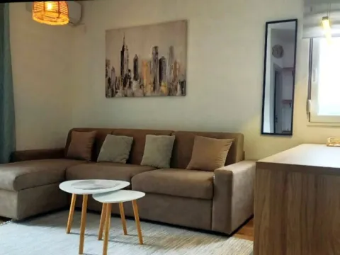 Rent, apartment, 26m², Zabjelo, Podgorica - image 4