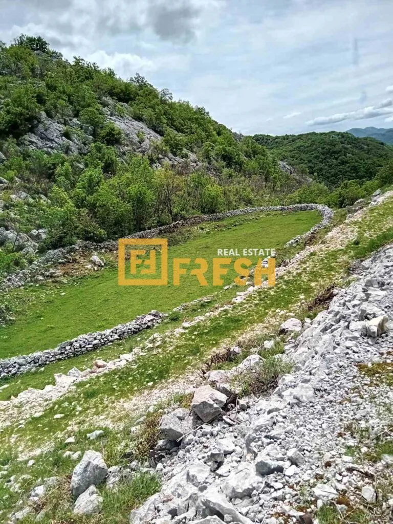 Prodaja, plac, 49212m², Cetinje, Crna Gora