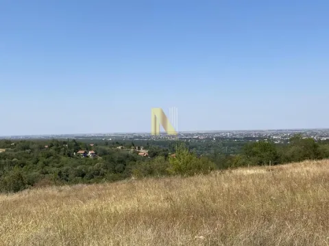 Prodaja, plac, 4469m², Ledinci, Petrovaradin - image 2